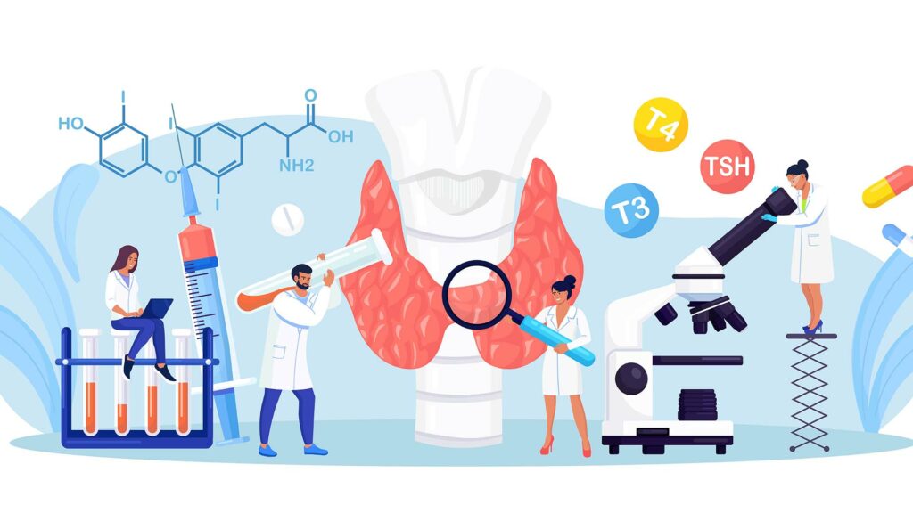 How can two widely used chemicals belonging to the same class of monocyclic aromatic compounds (Resorcinol and Acetaminophen) exhibit such different behaviors when it comes to endocrine disruption?